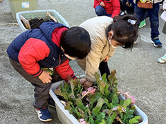 おいしいお野菜育てたよ！