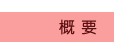 概要